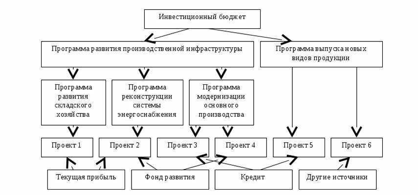 Инвестиции бюджетного учреждения