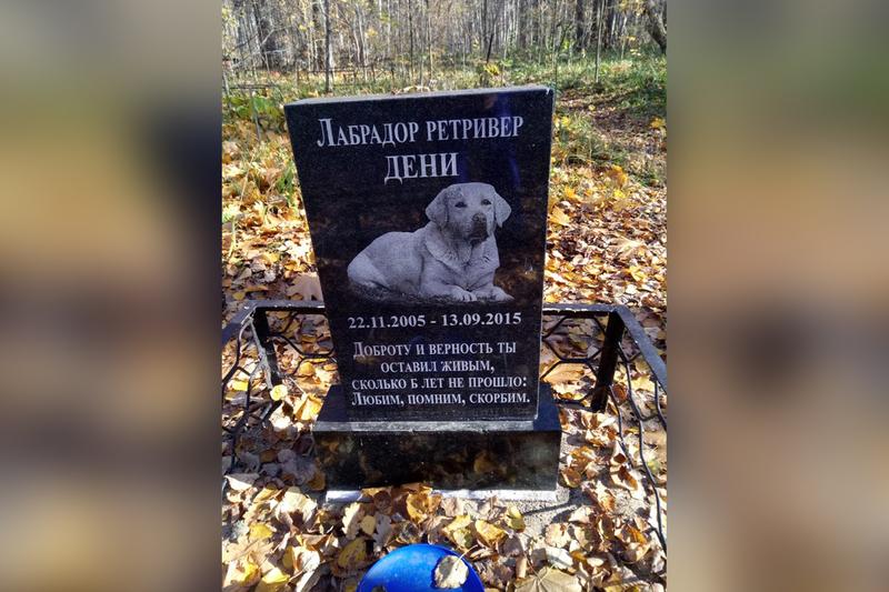 Как похоронить животное. Табличка на могилу собаке. Таблички для животных на кладбище. Памятники захоронения собак.