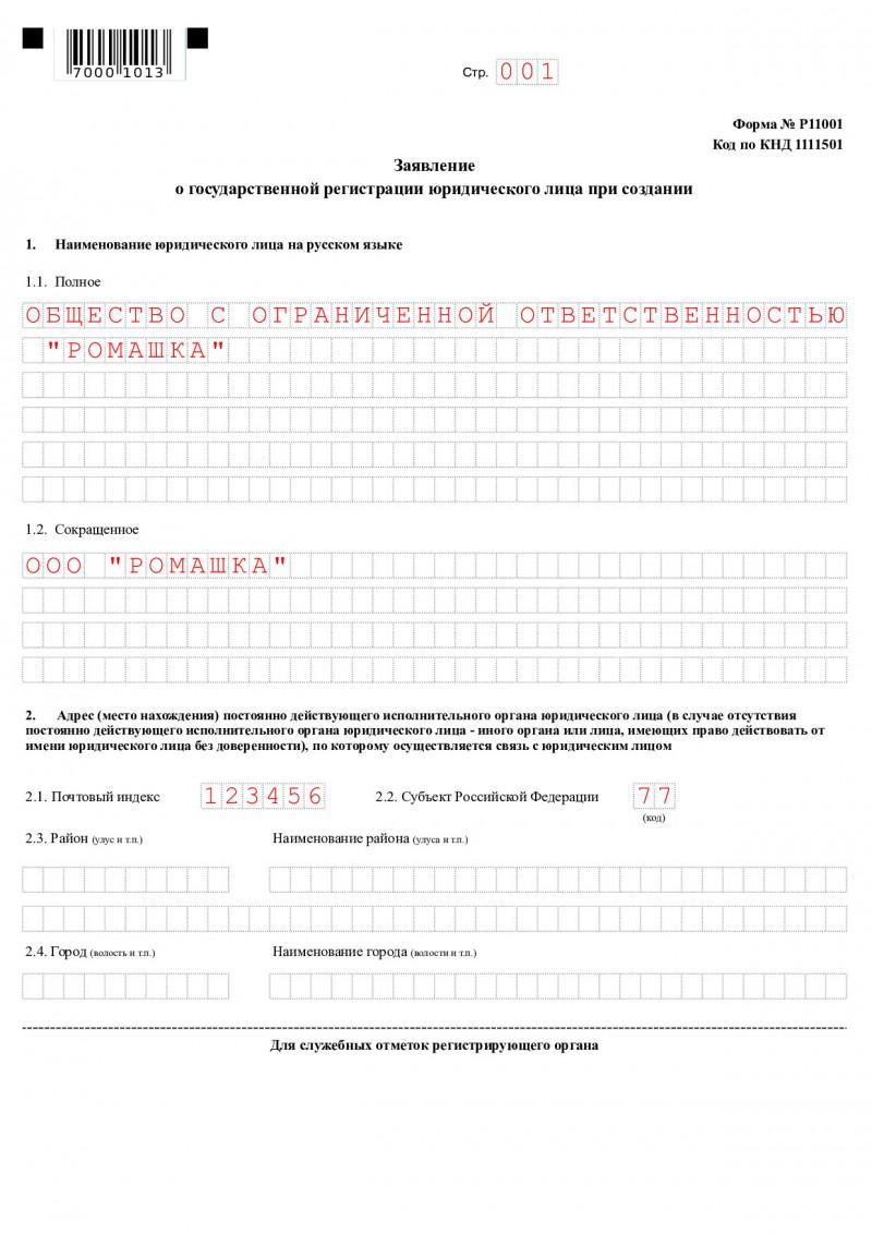 Образец заполнения формы 11001 для кооператива